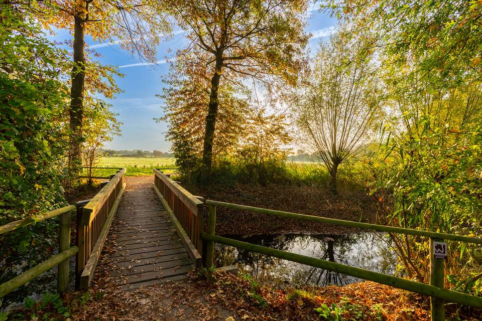 Ponte autunnale sul Basso Reno